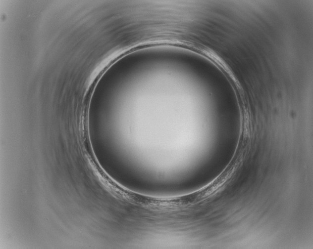 X0000057091101200509091307