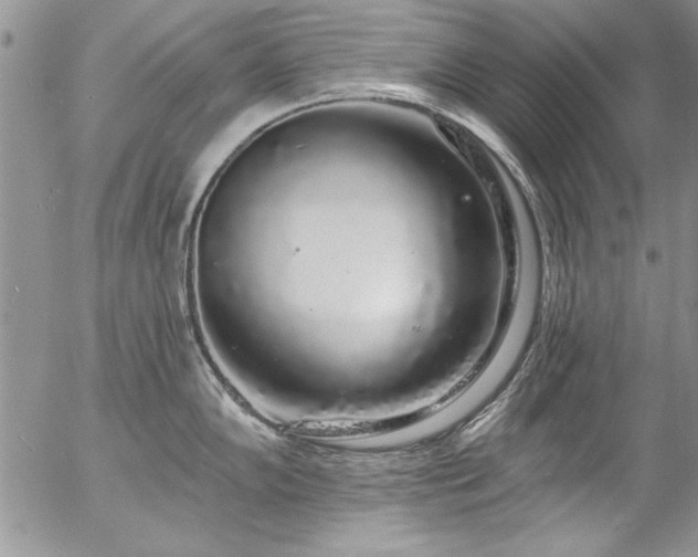 X0000057091102200509091307