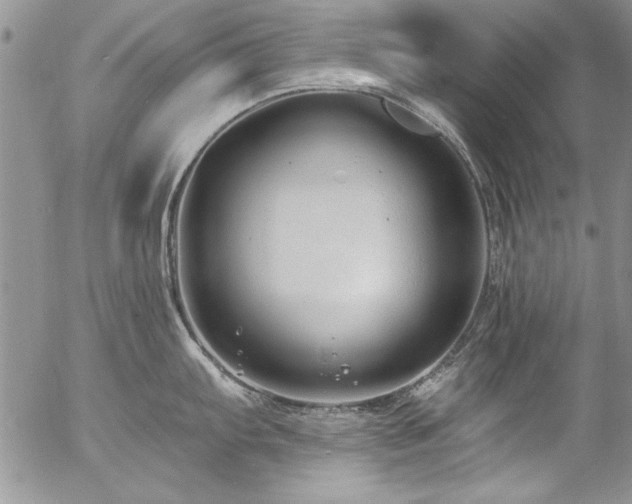 X0000057091103200509091307