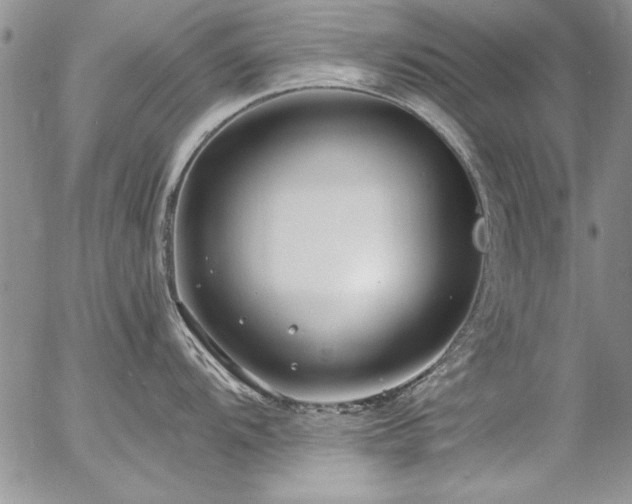 X0000057091104200509091307