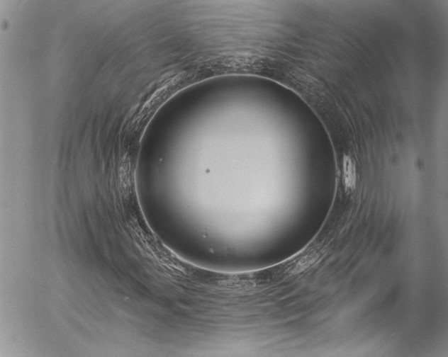 X0000057091107200509091306