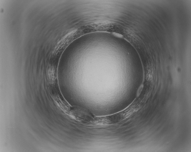 X0000057091108200509091306