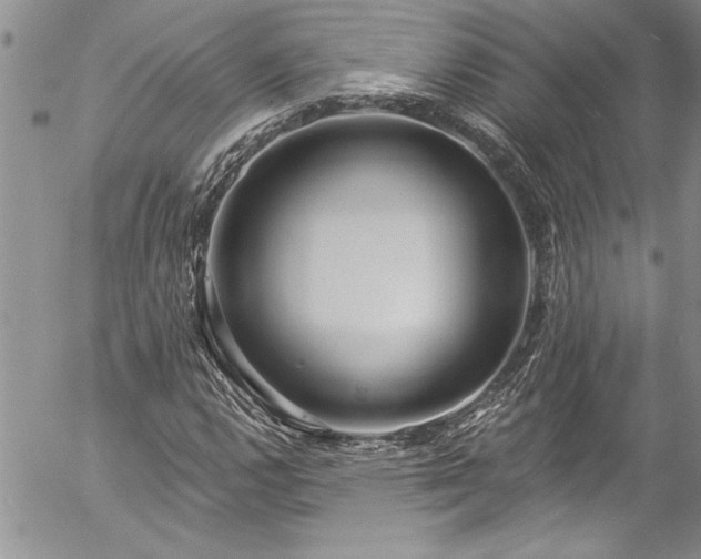 X0000057091112200509091306