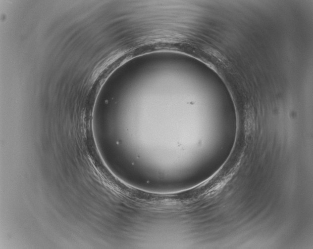 X0000057091113200509091306