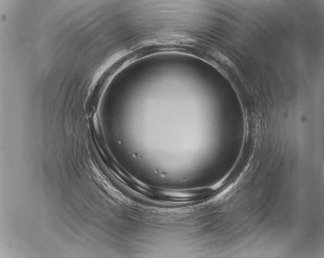 X0000057091114200509091306