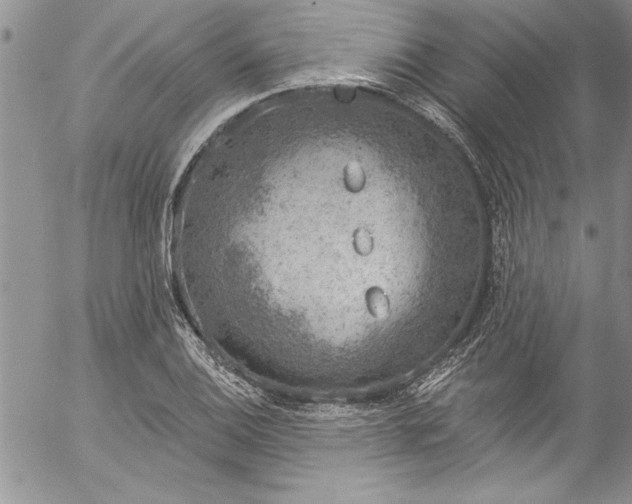 X0000057091124200509091306