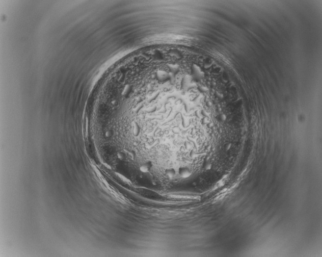 X0000057091125200509091306