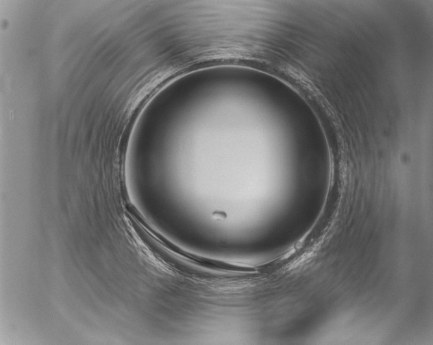 X0000057091129200509091306