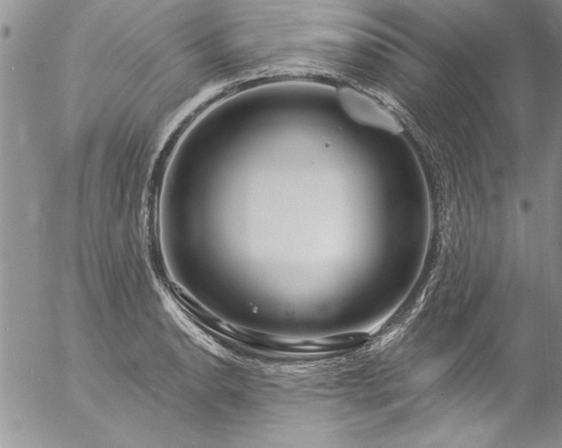 X0000057091134200509091306