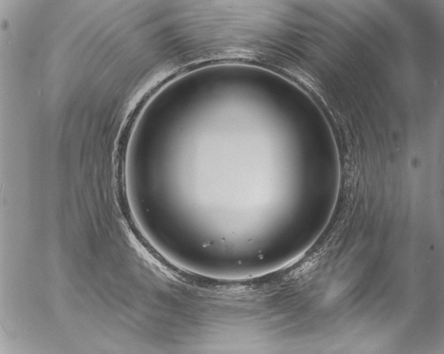 X0000057091135200509091306