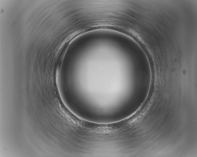 X0000057091137200509091306