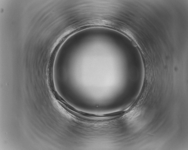 X0000057091139200509091307