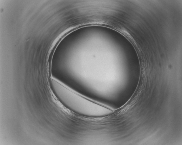 X0000057091140200509091307