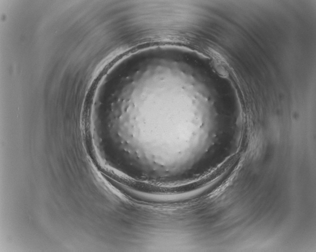 X0000057091141200509091307