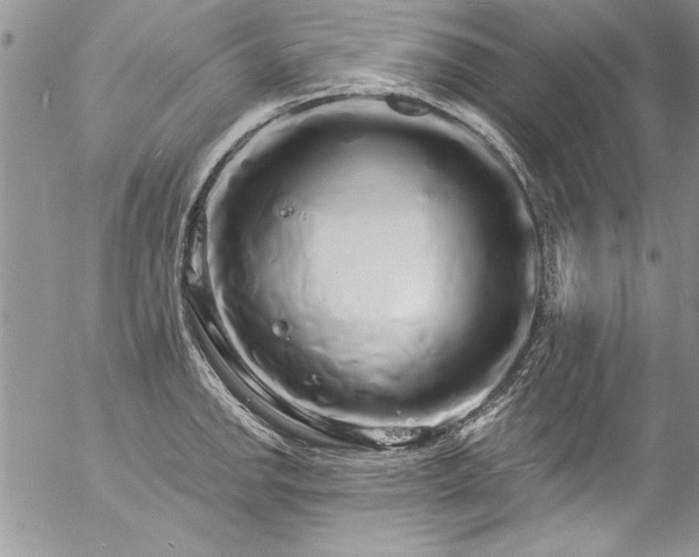 X0000057091142200509091307