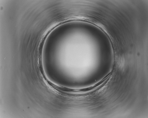 X0000057091143200509091307