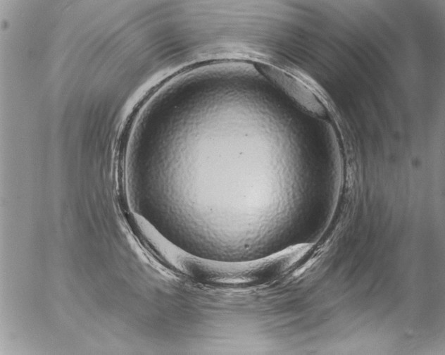 X0000057091144200509091307