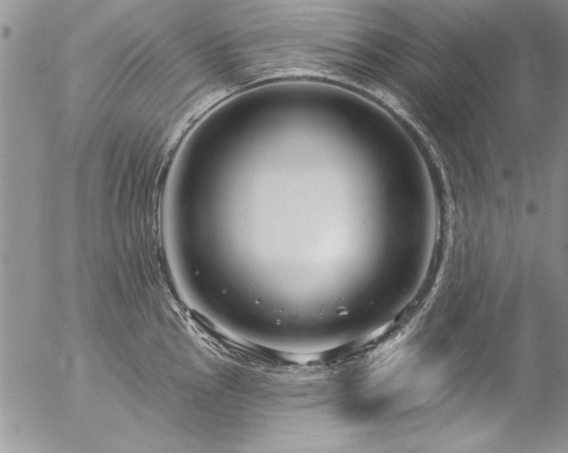 X0000057091145200509091307