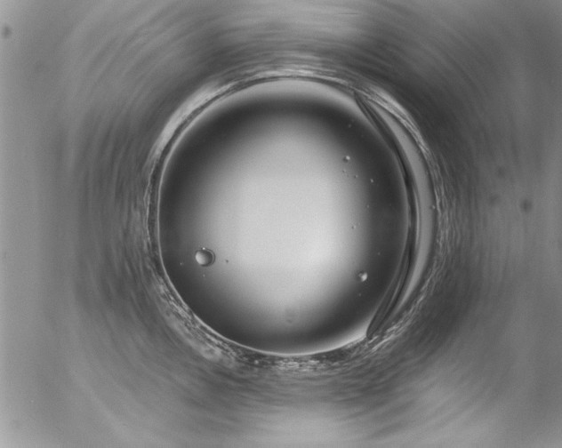 X0000057091146200509091307