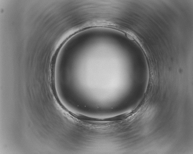 X0000057091147200509091307