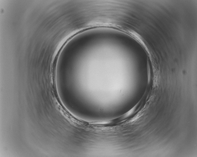 X0000057091148200509091307