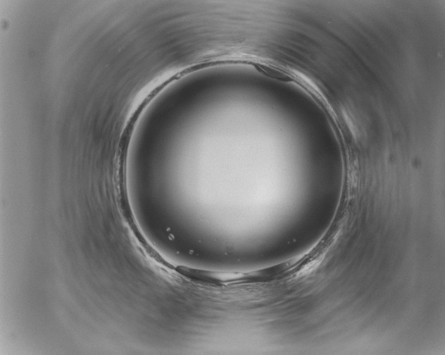 X0000057091149200509091307