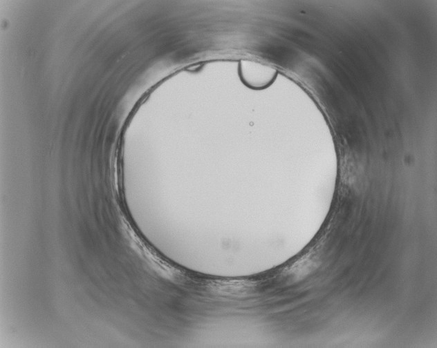 X0000057091150200509091307