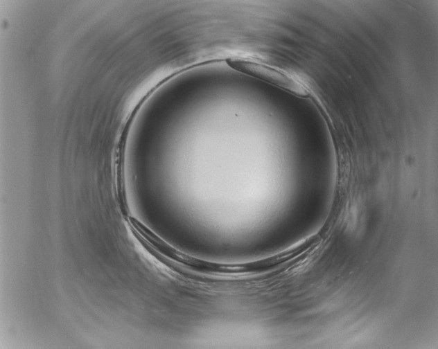 X0000057091151200509091307