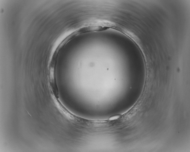 X0000057091152200509091307