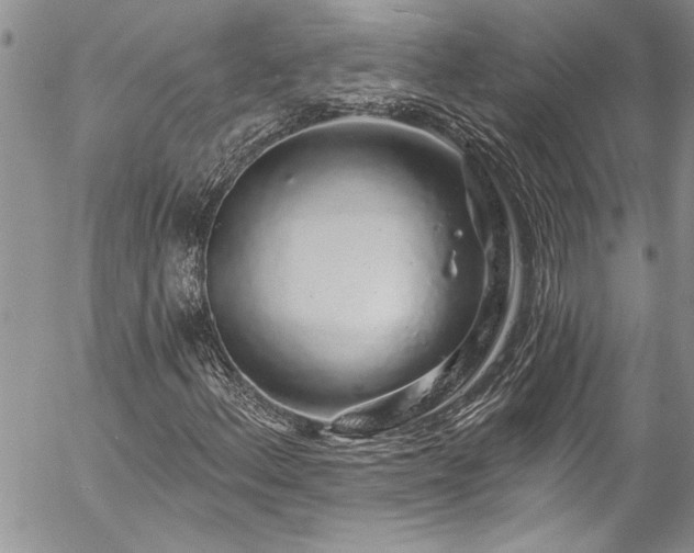 X0000057091156200509091306