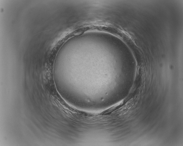 X0000057091159200509091306