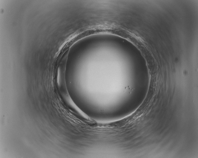 X0000057091160200509091306