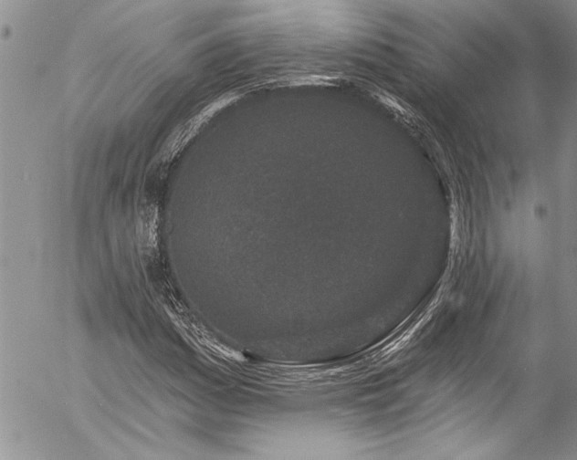 X0000057091161200509091306