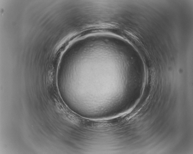 X0000057091163200509091306