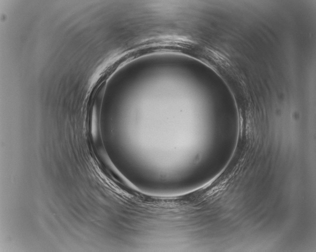 X0000057091164200509091306