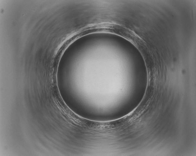 X0000057091166200509091306