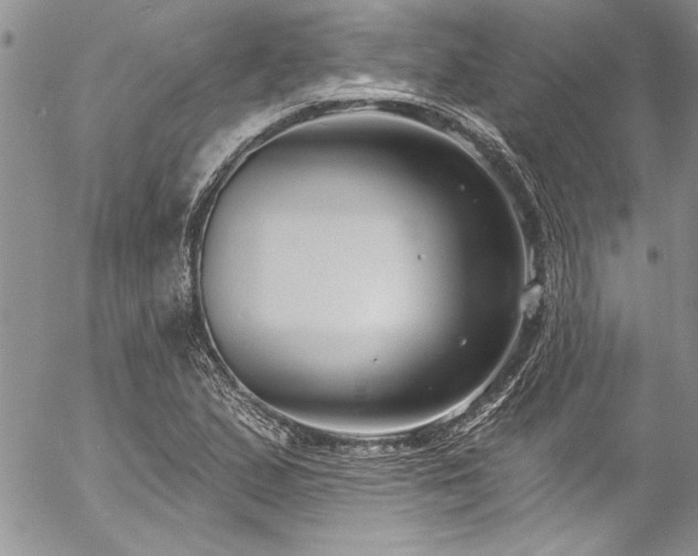 X0000057091167200509091306