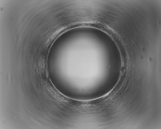 X0000057091169200509091306