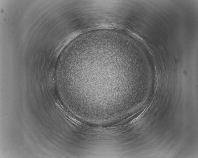 X0000057091170200509091306