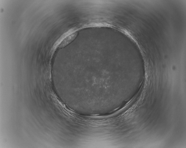 X0000057091173200509091306