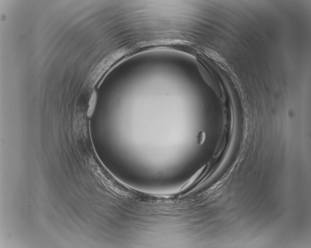 X0000057091177200509091306