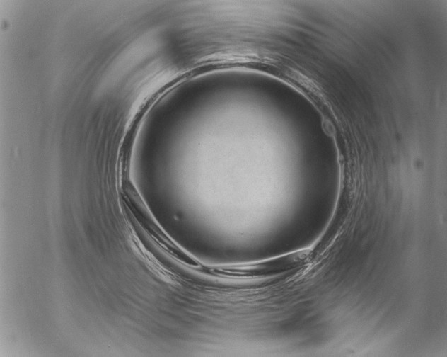 X0000057091179200509091305