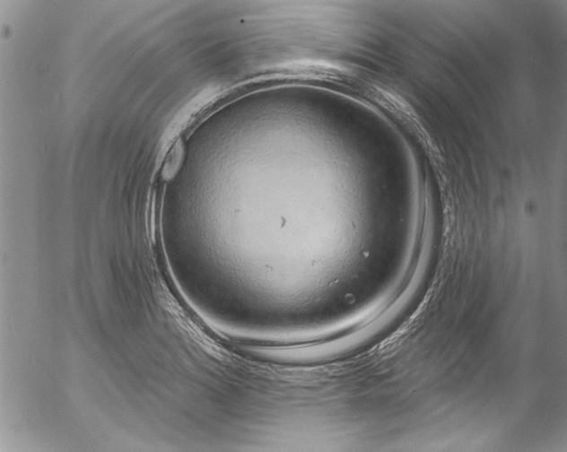 X0000057091180200509091305