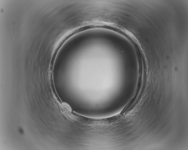 X0000057091183200509091305