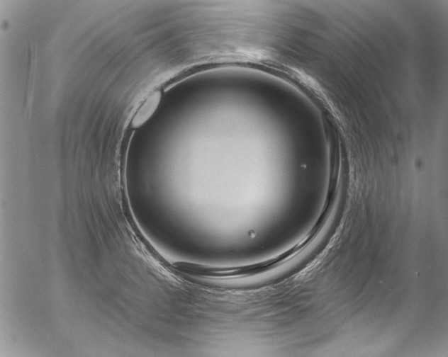 X0000057091184200509091305