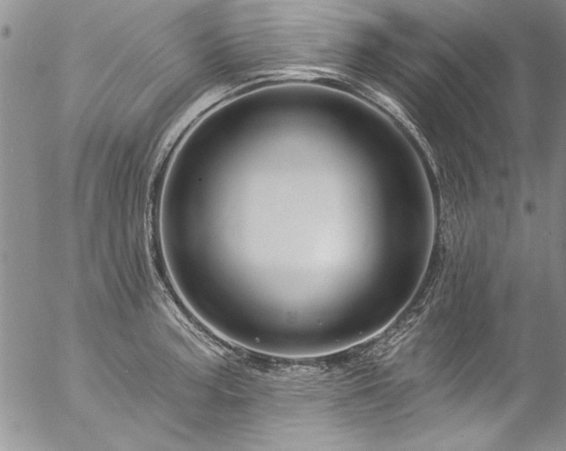 X0000057091187200509091305