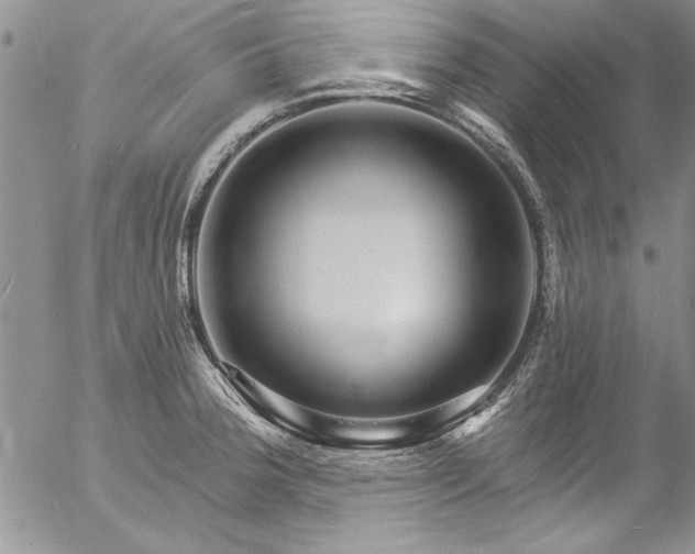 X0000057091188200509091305