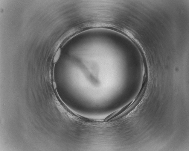 X0000057091189200509091305