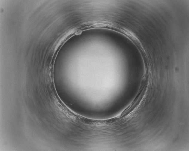 X0000057091190200509091305