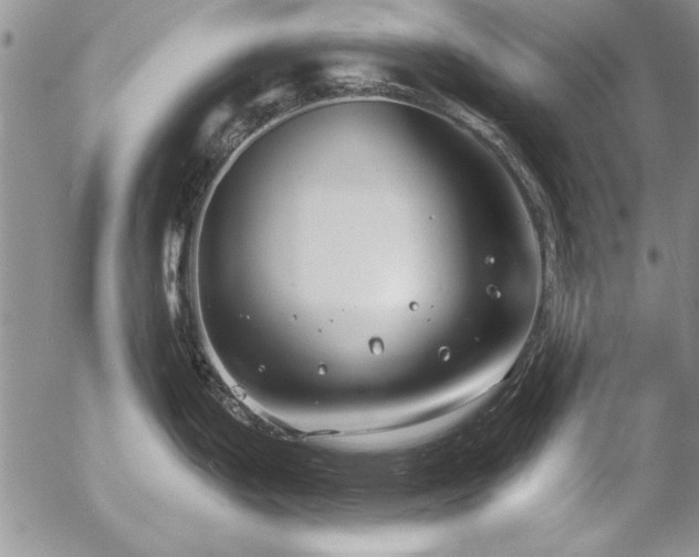 X0000057091199200509091305